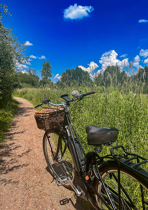 Leben und arbeiten in der Region