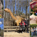 Zu Besuch bei den Dinos